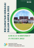 Kecamatan Geragai Dalam Angka 2022